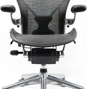Aeron Chair Size B front view with mesh back